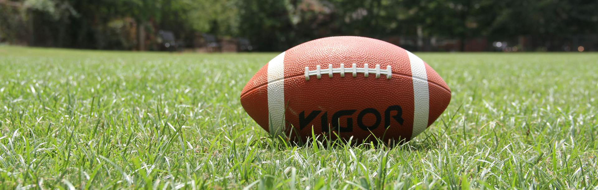 Rugby Gear Shop 18 Rugby Gear Shop -Rugby Gear Shop pexels pixabay 209956